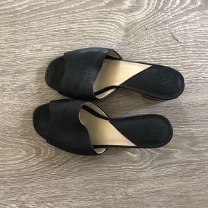 Low- heal Nisolo shoes